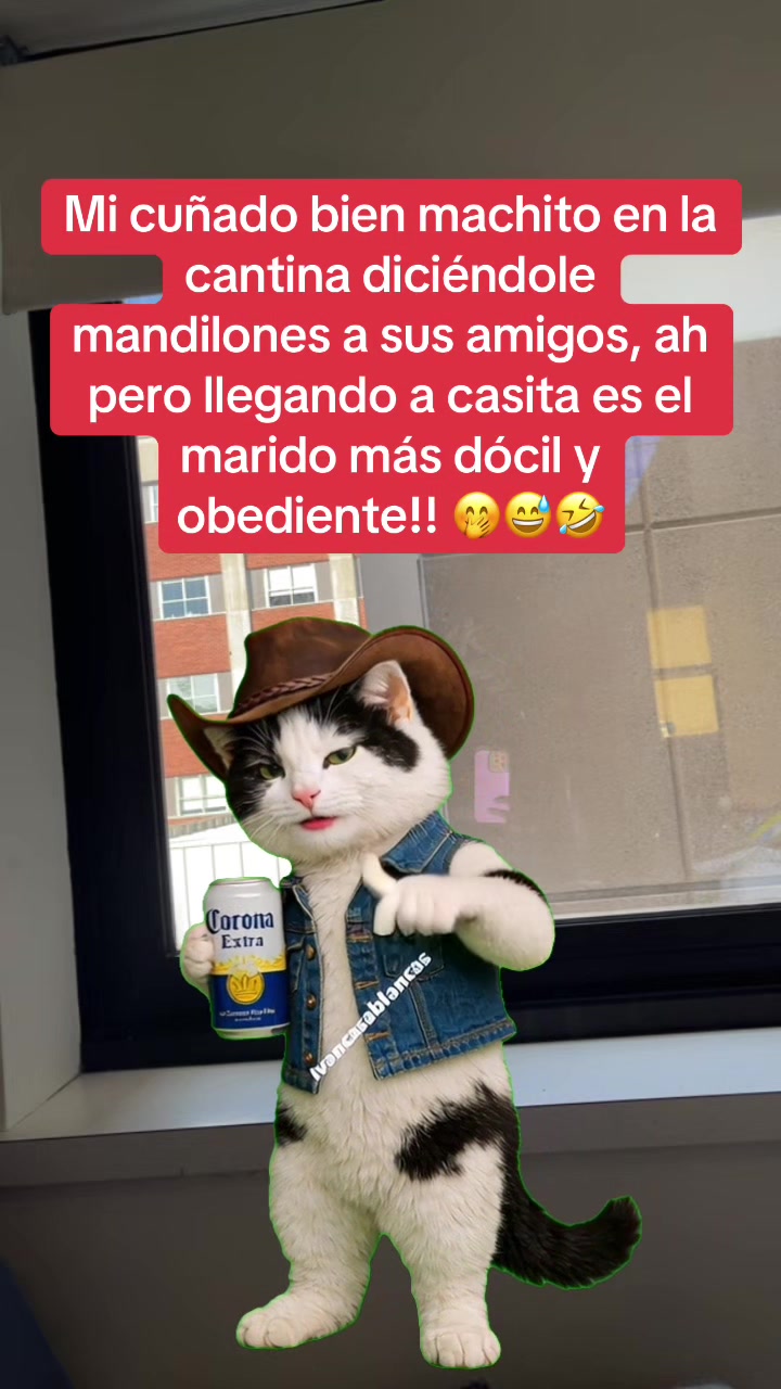 @Cinthya Sambrano