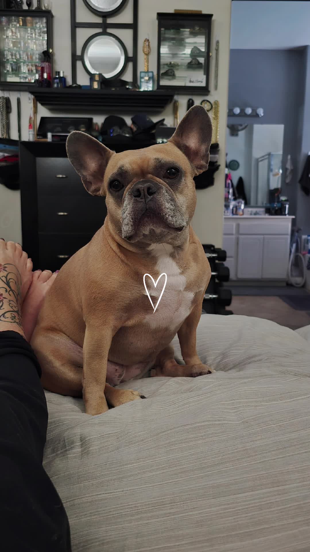 @ElenaC❌️❤️