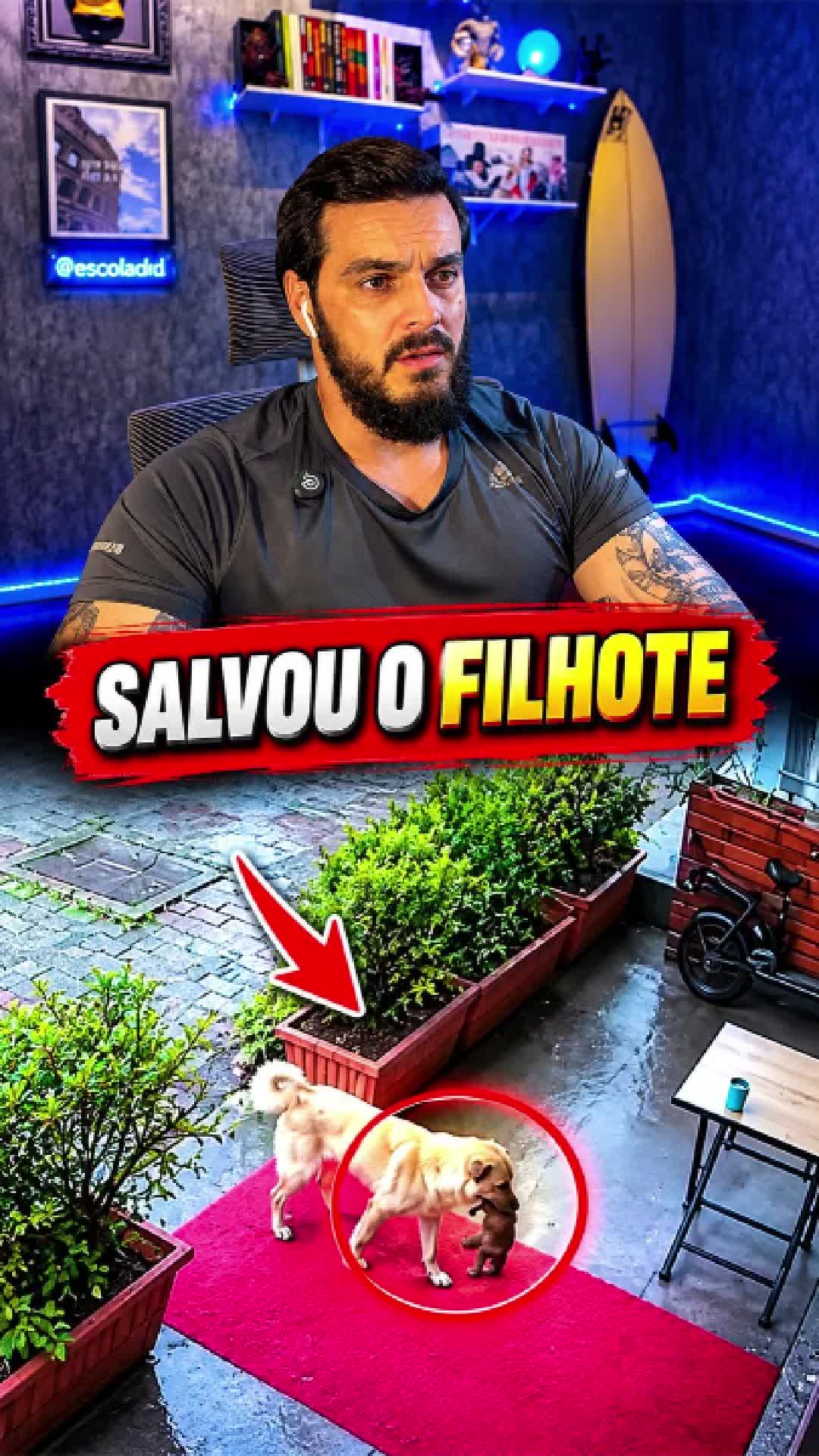 @soududu2