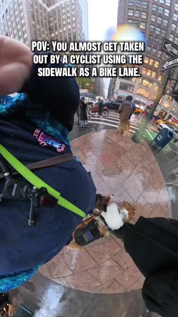 @Dakota & Pups