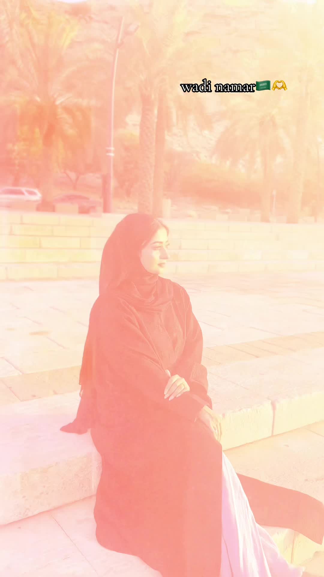 @Soniyađ¸đĻâī¸