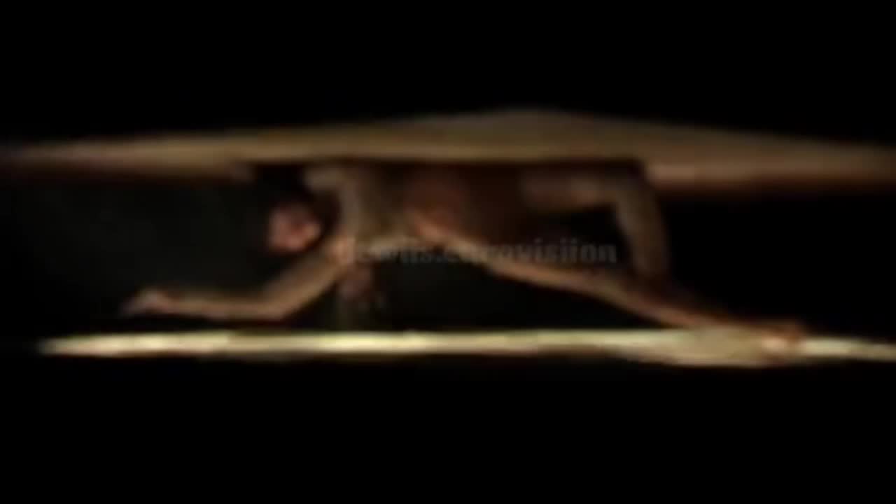 @Rassvet0000@
