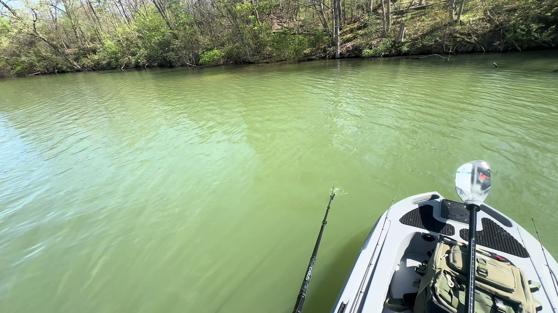 @BigBassFish