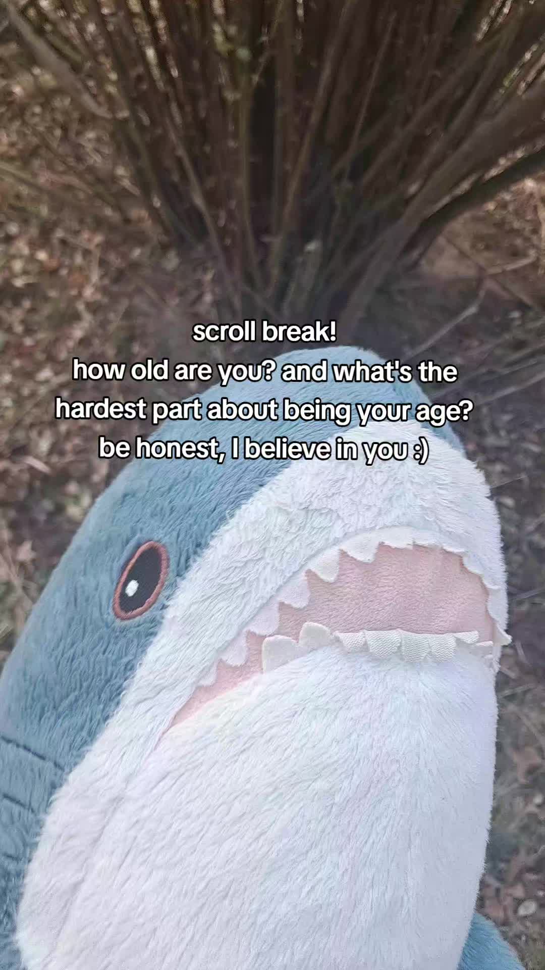 @Willie the Shark <3