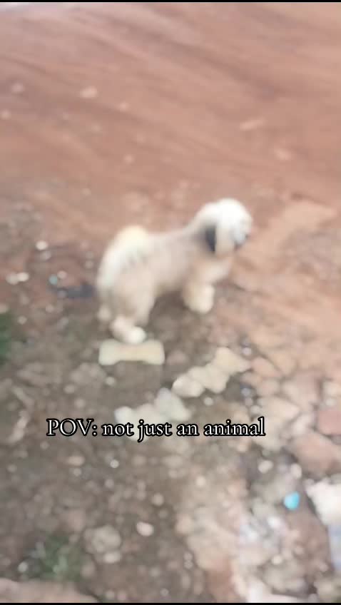 @꧁ঔৣ☬✞Ẽřĩ&ccedil;☬ঔৣ꧂