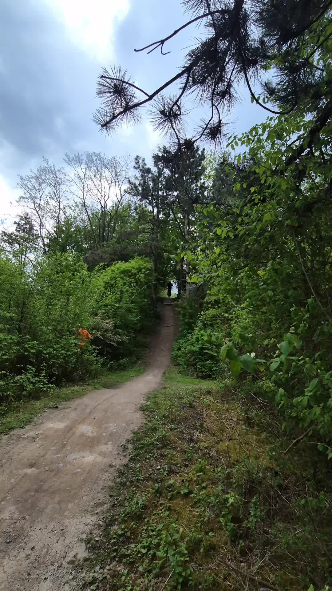@Henrymtb