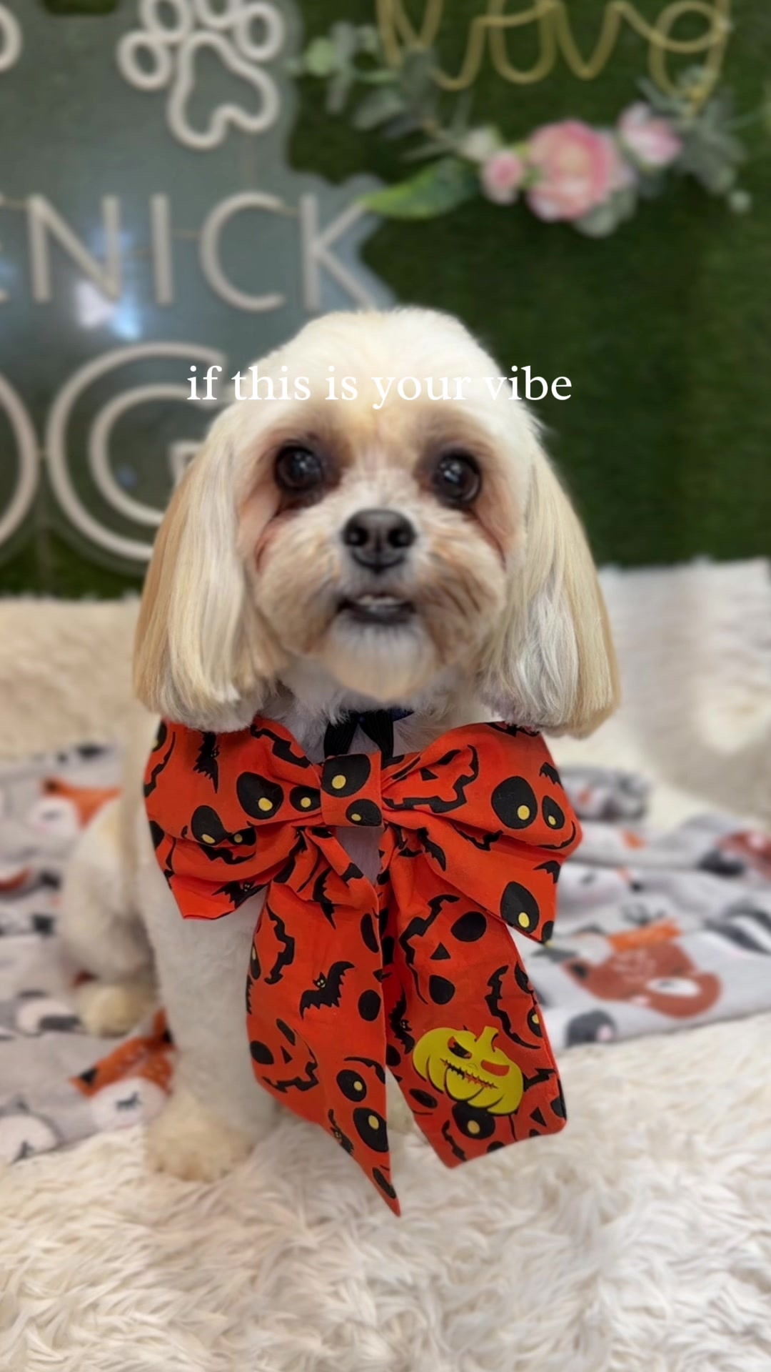 @DevenickDogs
