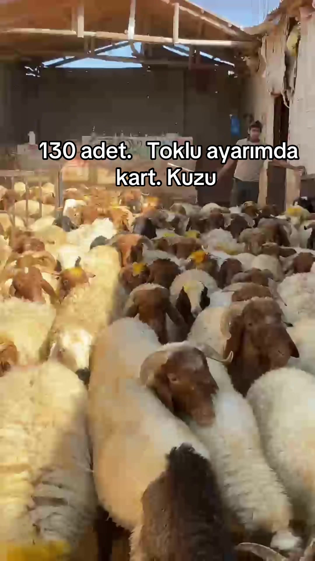 @Ahmet S&ouml;nmez