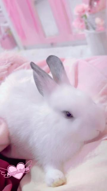 @๐๐ฐ๐ฏ๐บ๐ูููู