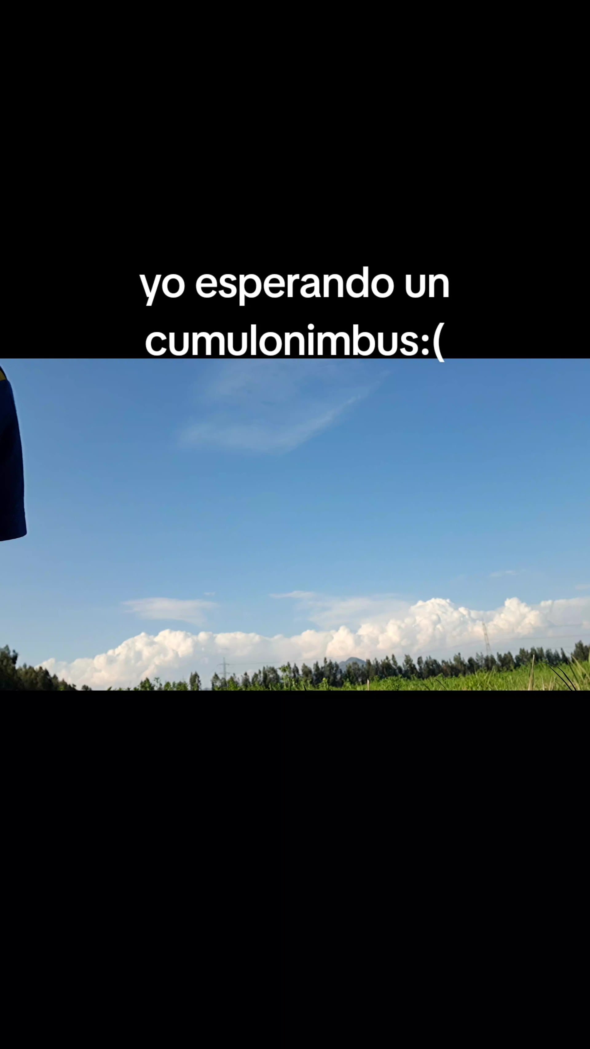 @tomi