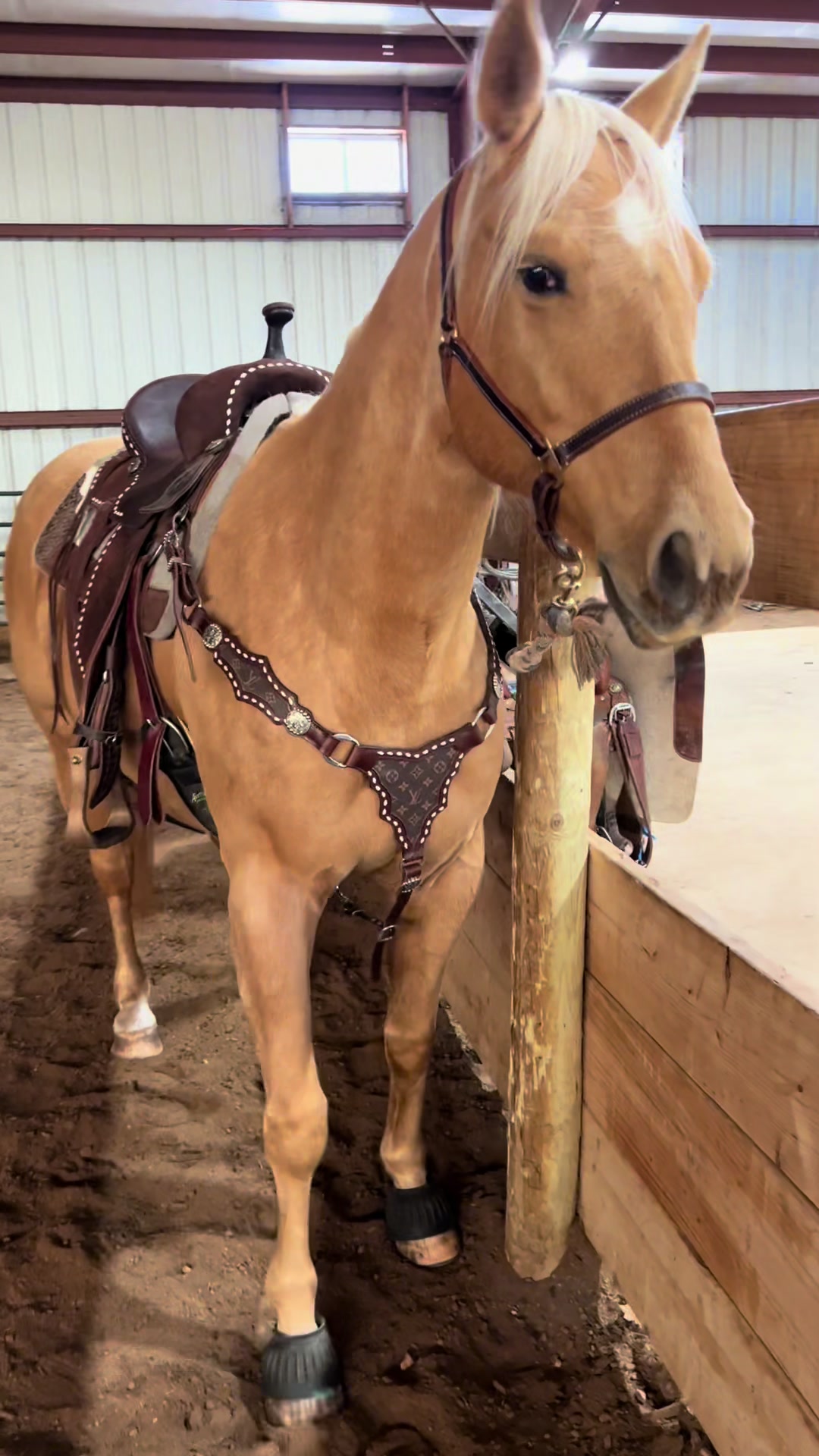 @northern.cowgurl