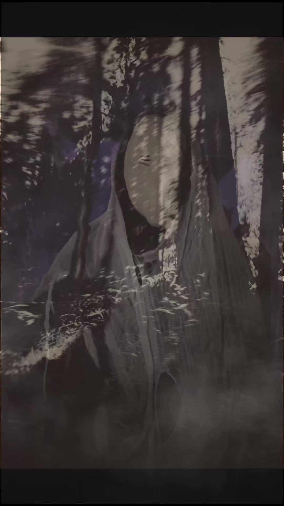 @DarkWonderland