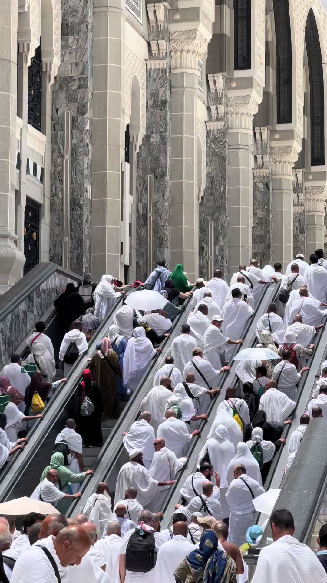 @طيوف الحرم