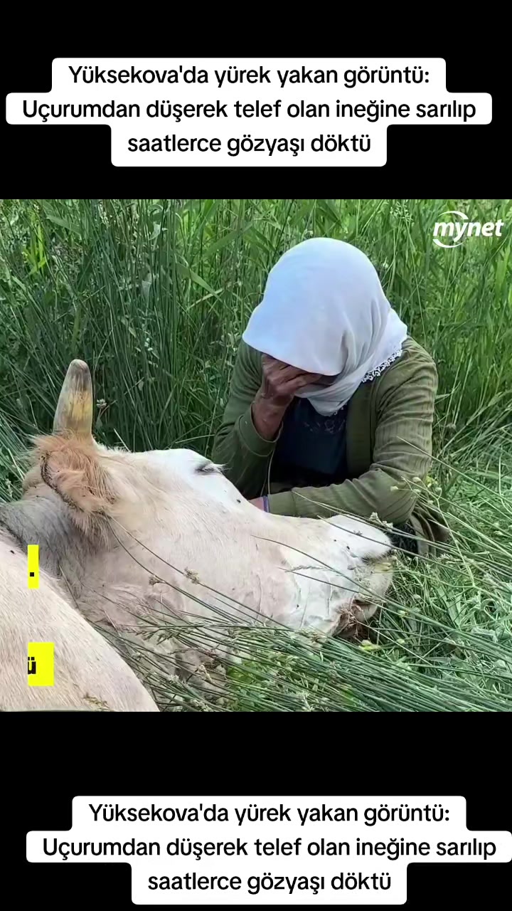 @Yeni dizi