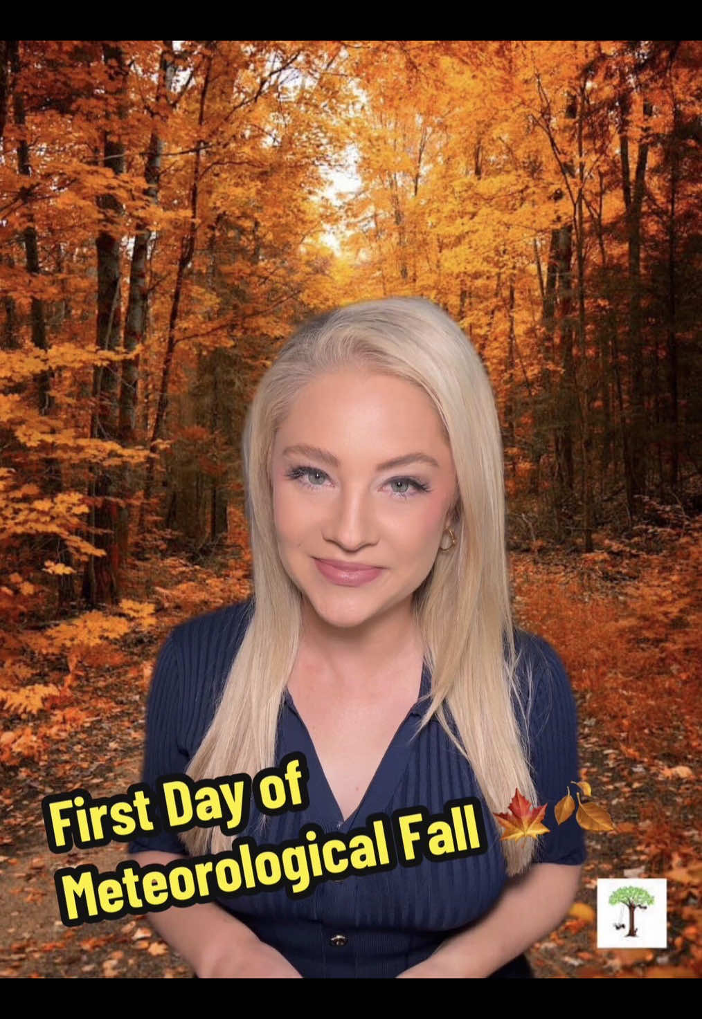 @FOX 13 Seattle