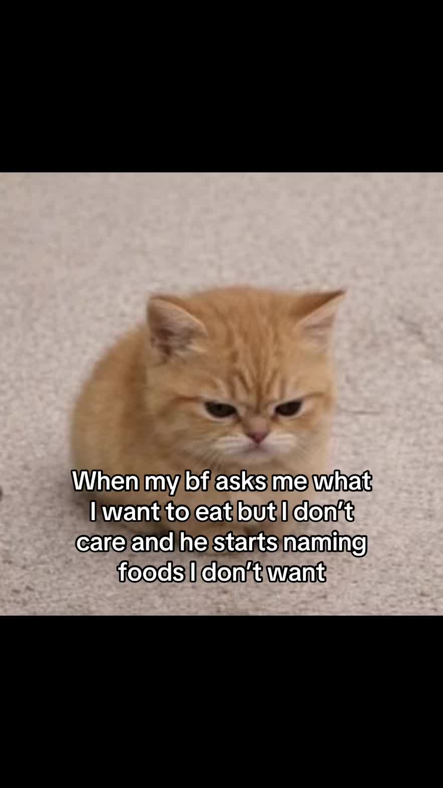 @LavanderCat