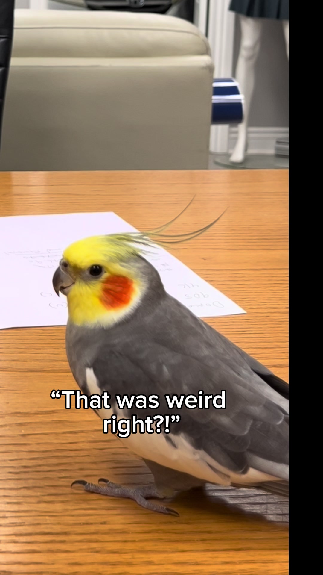 @Emery The Branch Manager