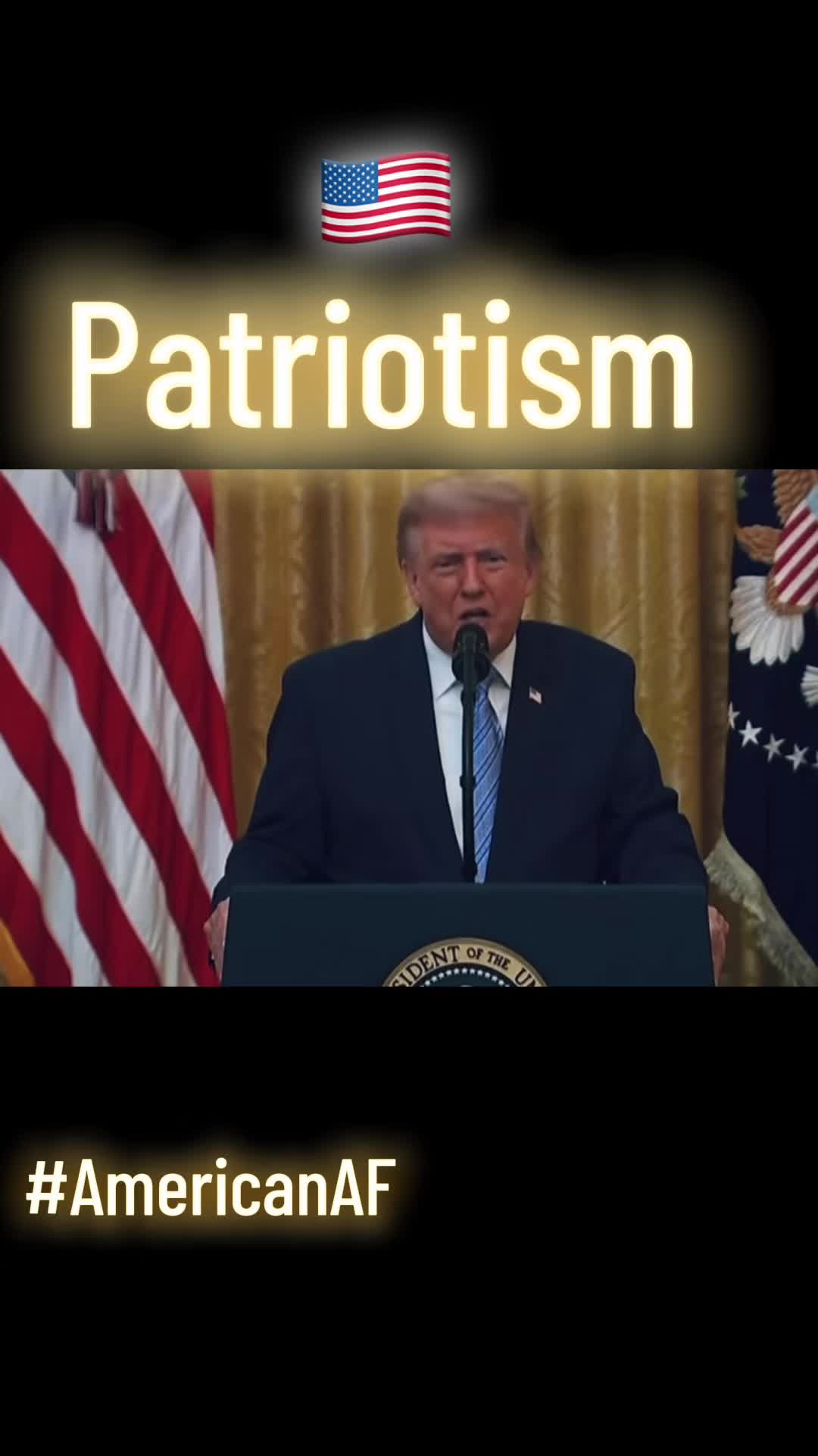 @Patriot🇺🇸AF