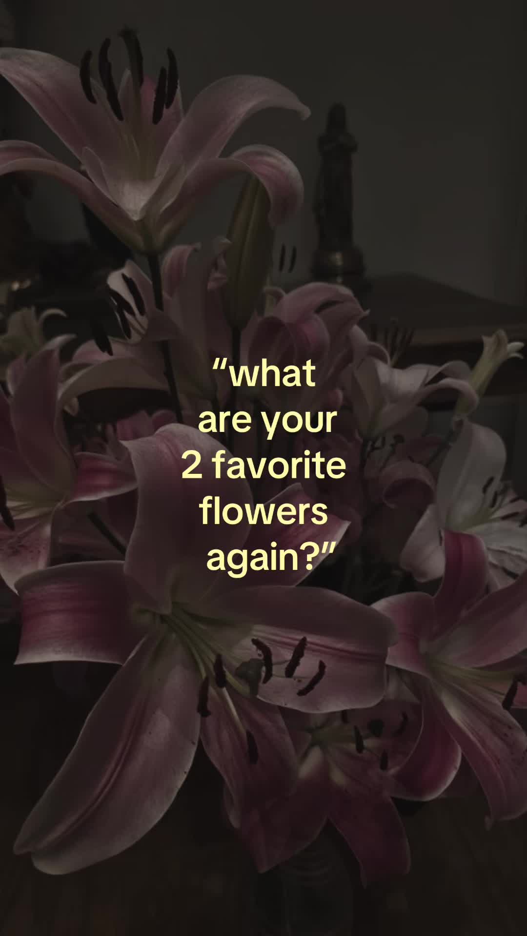 @.ufw.keyla