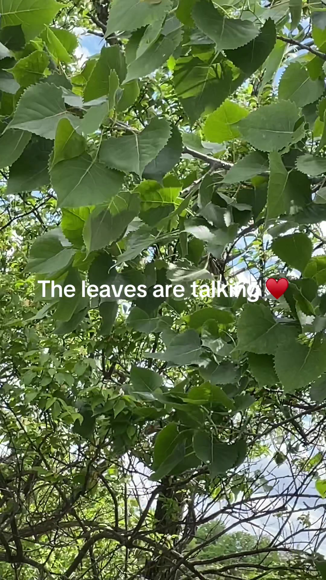 @peace.love.sagittarius.888