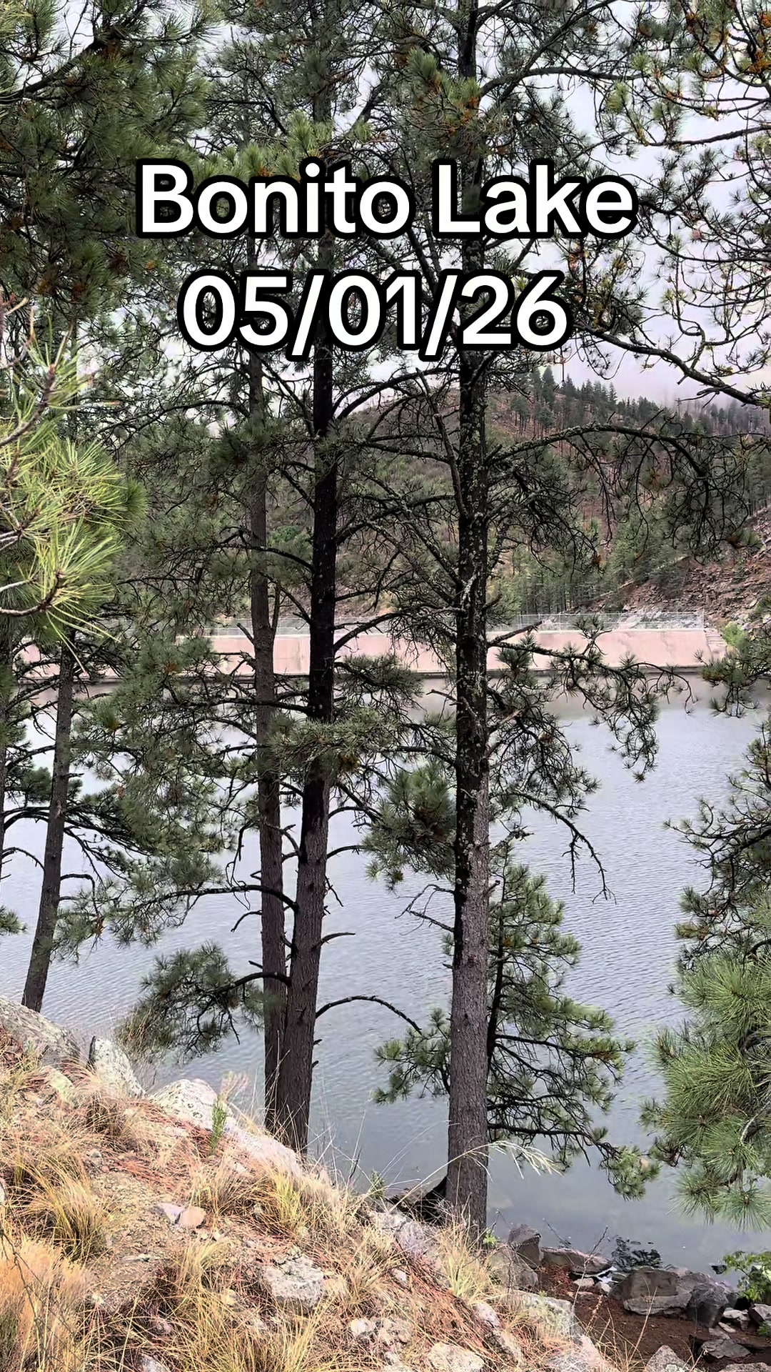 @Mirissa Good Ruidoso Realtor