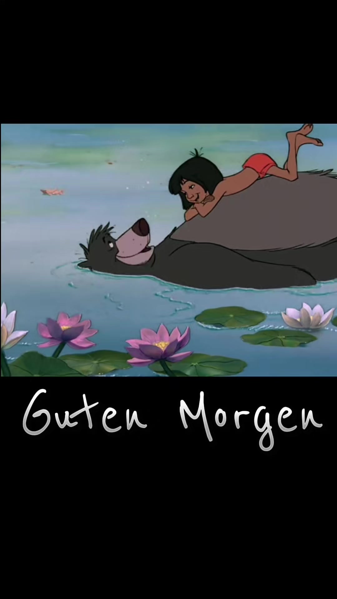 @zahnzaubermaeuschen