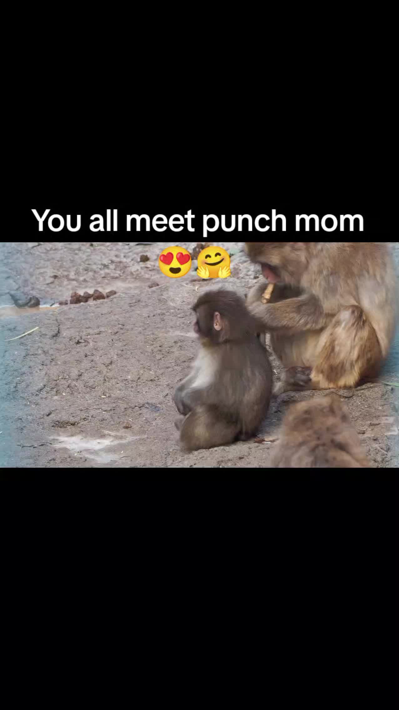 @Thepunchmonkey.com