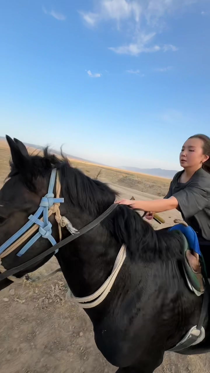@Konnaya_progulka_taraz🐎