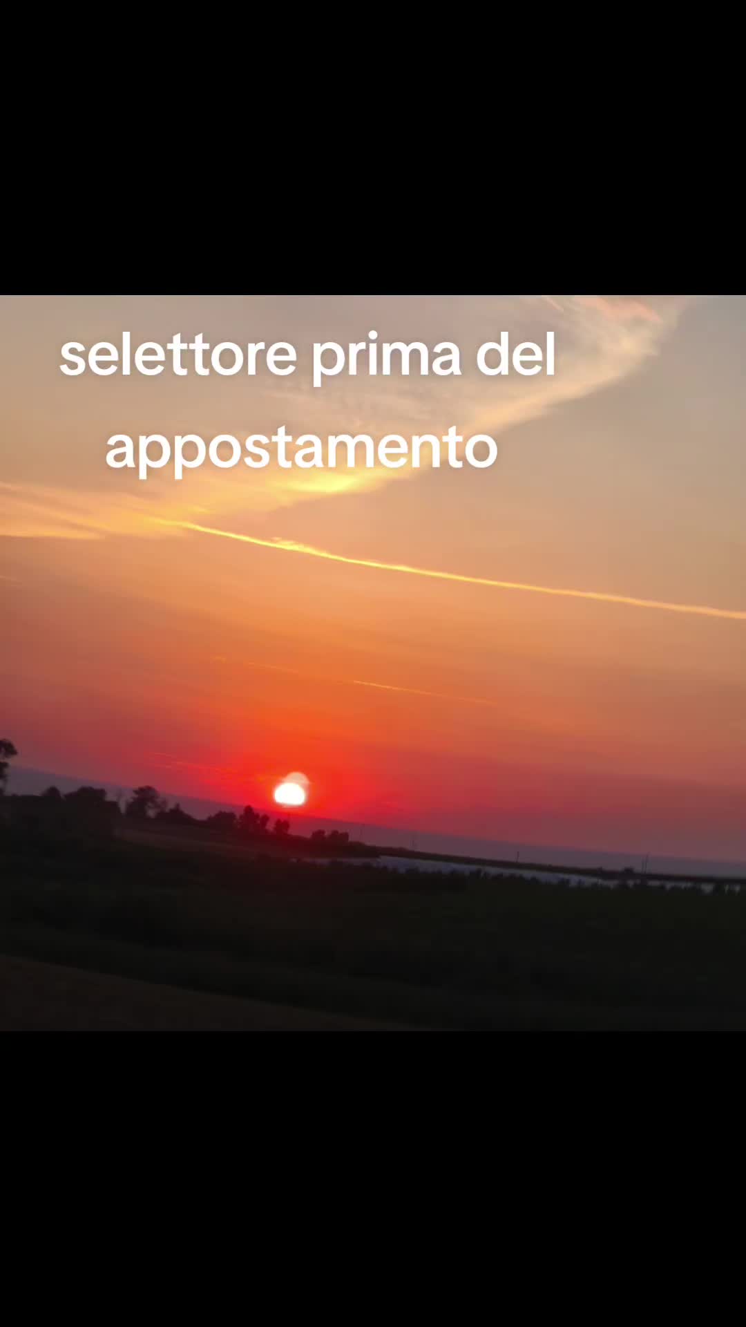 @il cinghiale di tiktok