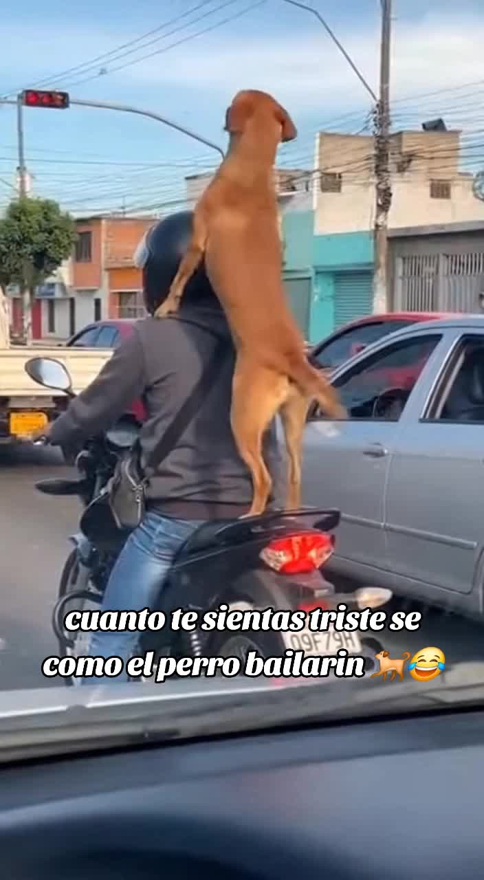 @Arteficial2.0