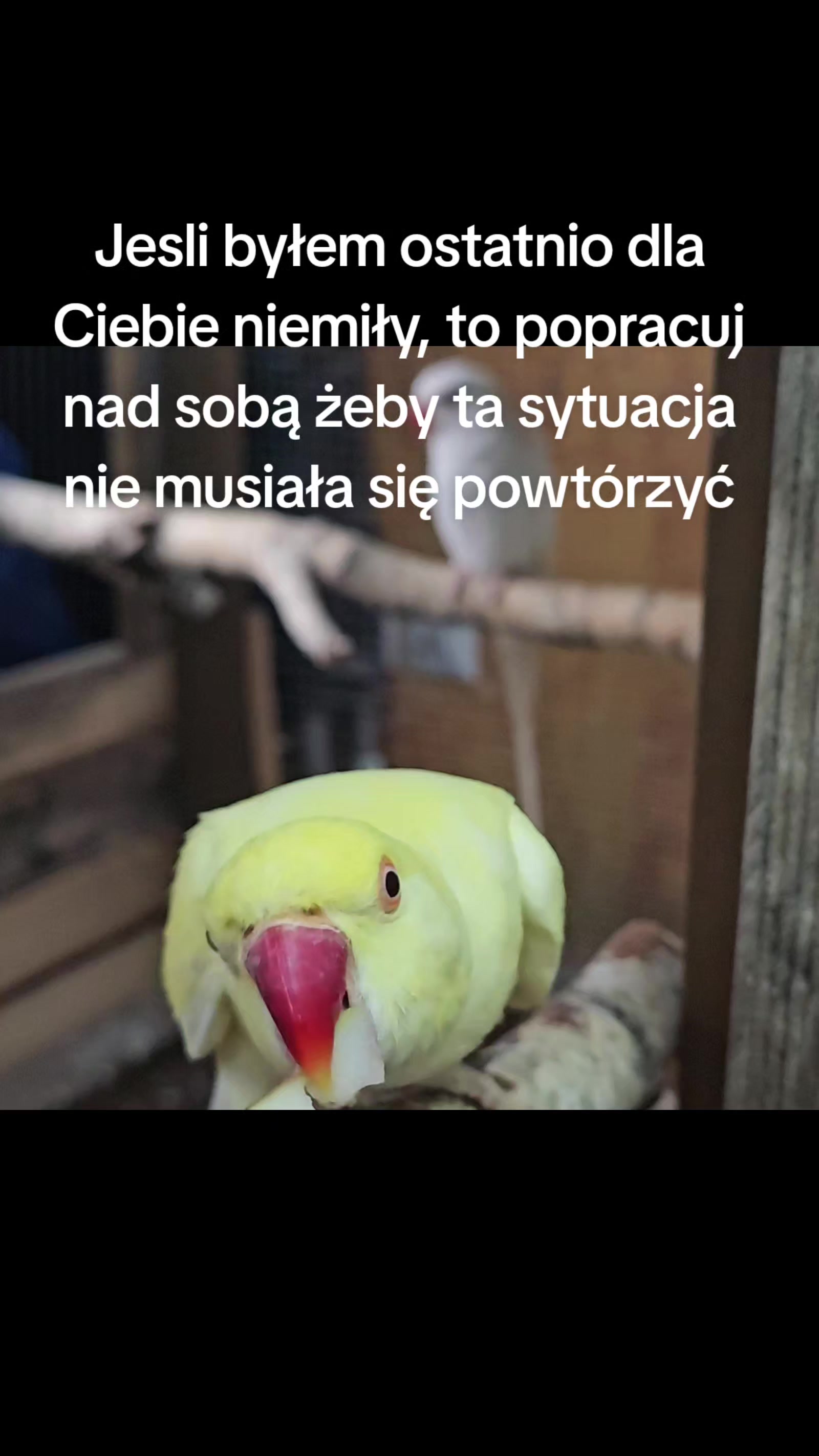 @36_CRIS23