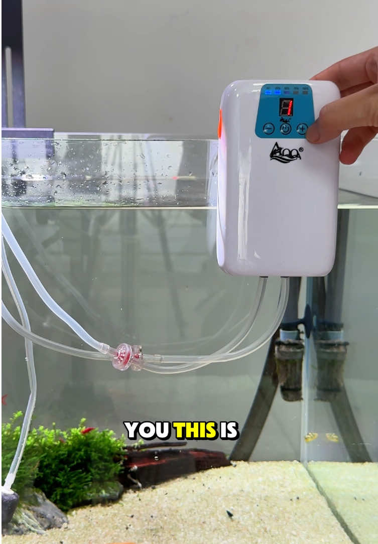 @AQQA Aquarium Store