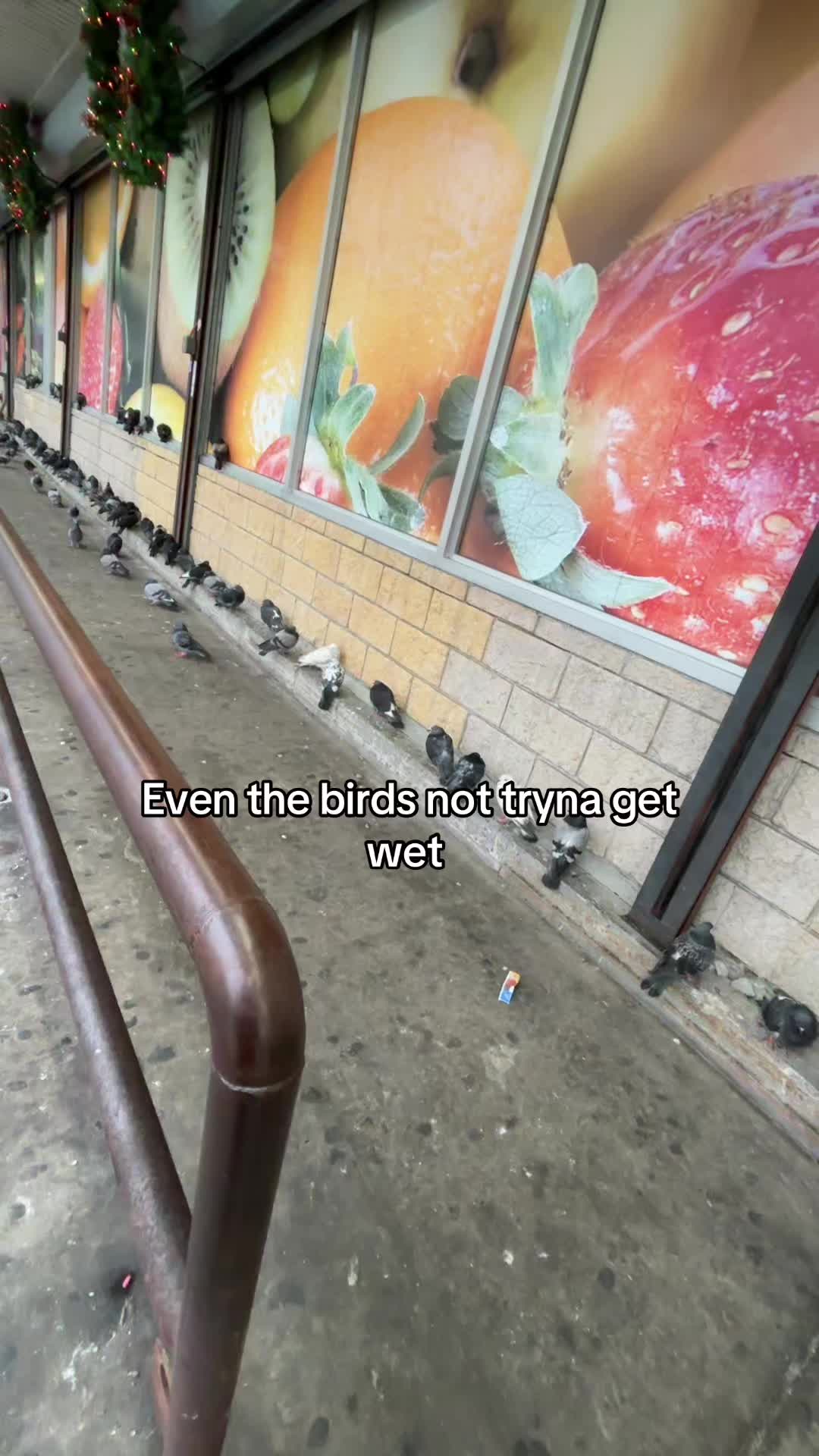 @5⭐️
