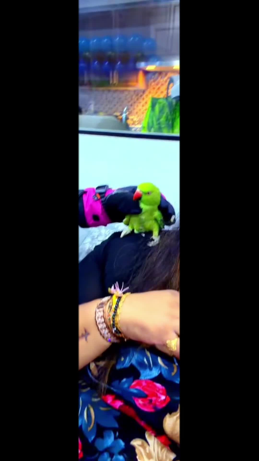 @Kajurika Kajan