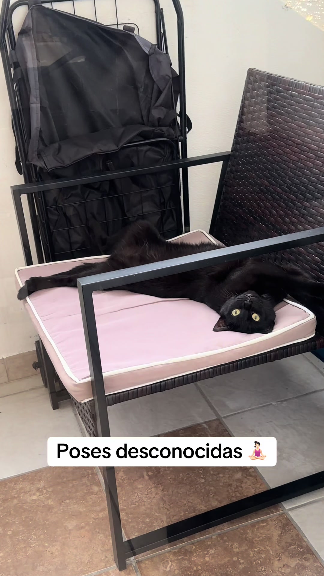 @I’m Kitty 🐈⬛