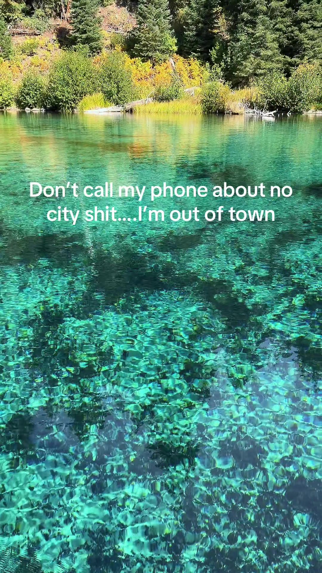 @Ohalchid