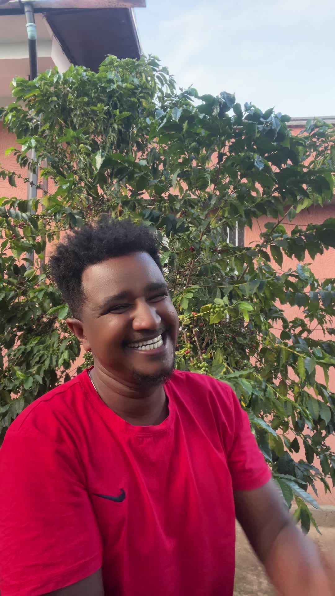 @mesi koyiru