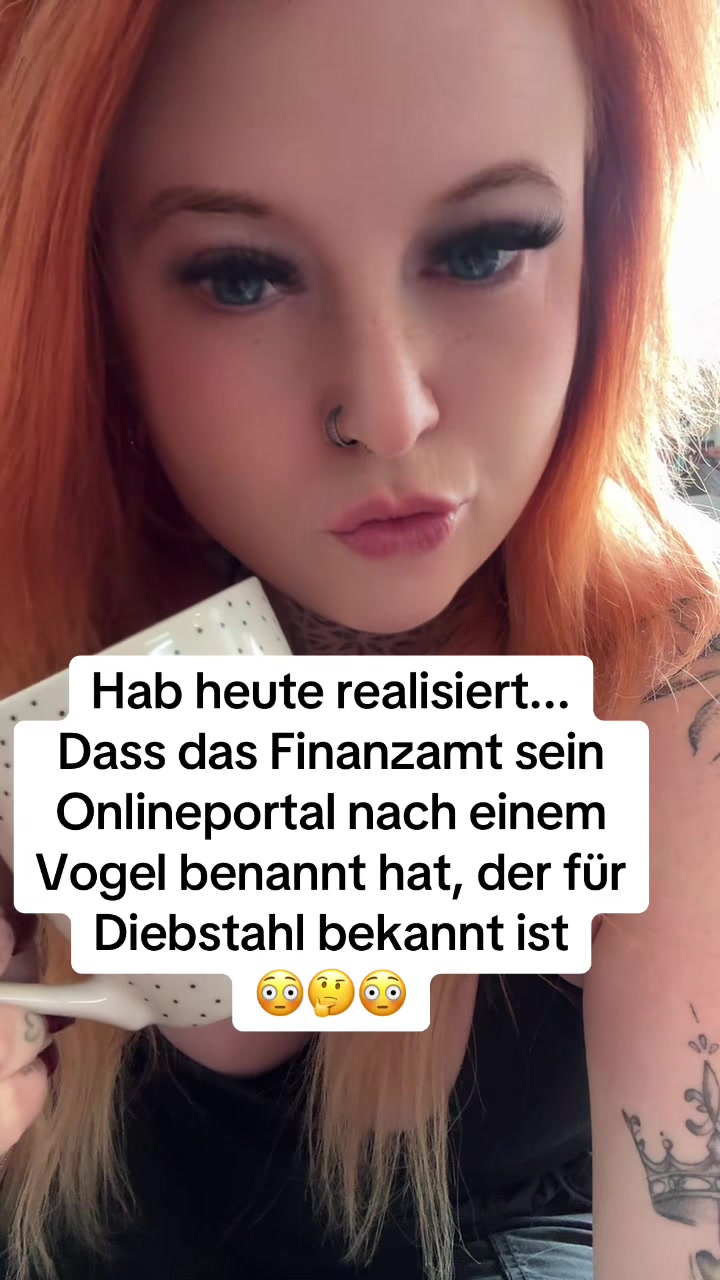 @Fynixia 🦊Fuchsi🦊