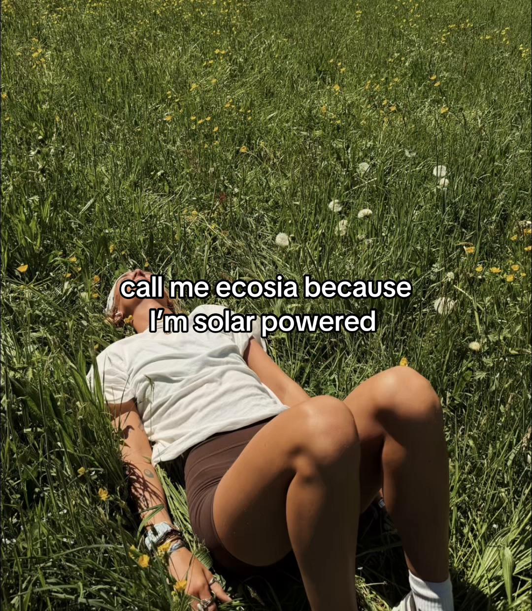 @amaliaplantstrees