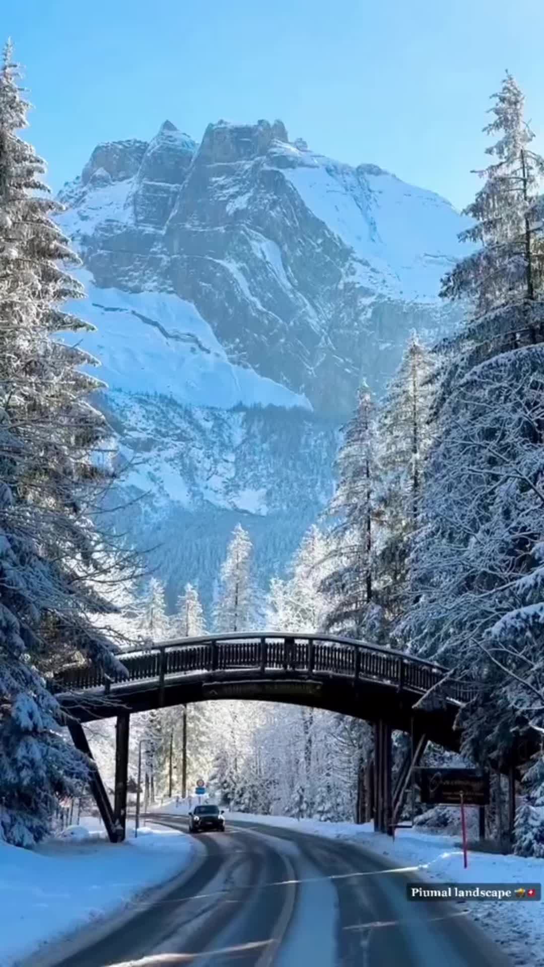 @🇨🇭𝓟𝓲𝓾𝓶𝓪𝓵 ✍️