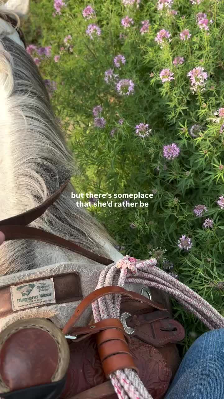 @ThunderGallops