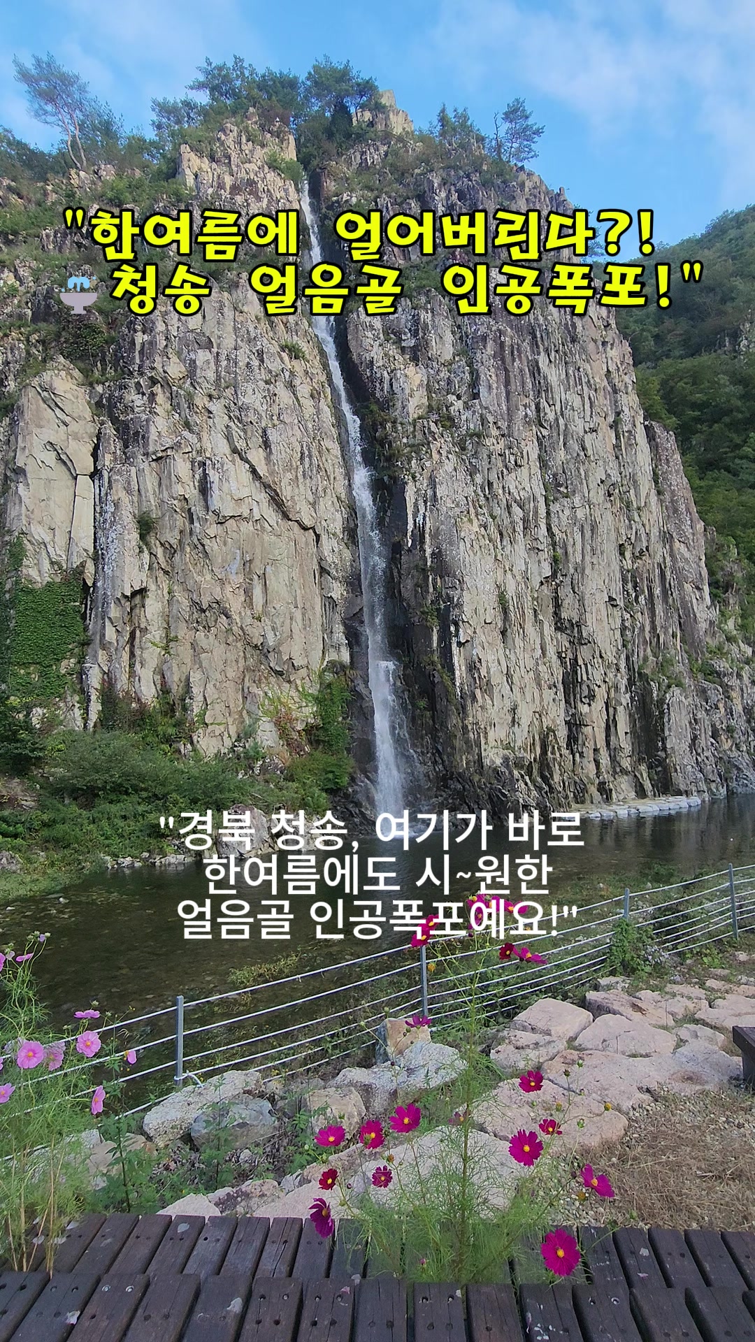 @로즈