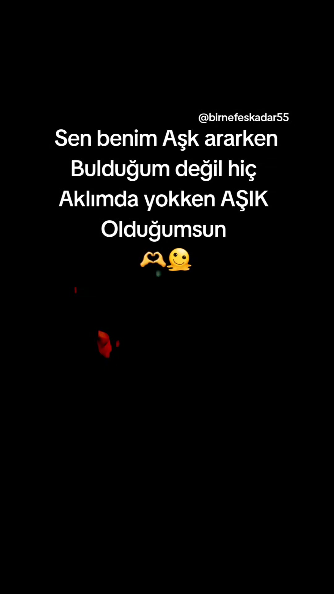 @birnefeskadar55