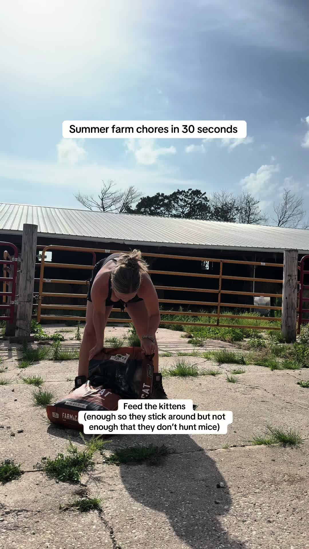 @Chelsea Jo | SUNNY ACRES