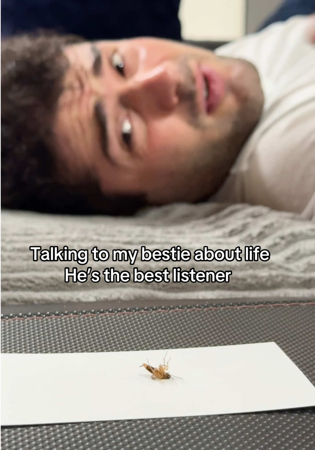 @Bruno Baba