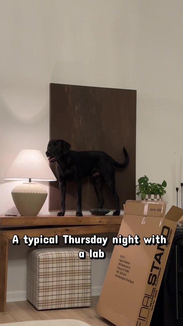 @ghostblacklab