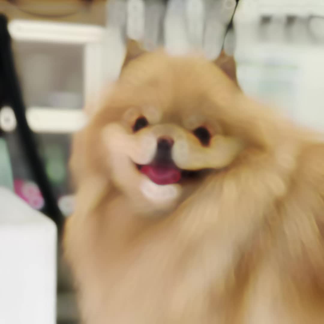 @Sami ๐ฎ๐น๐ง๐ท