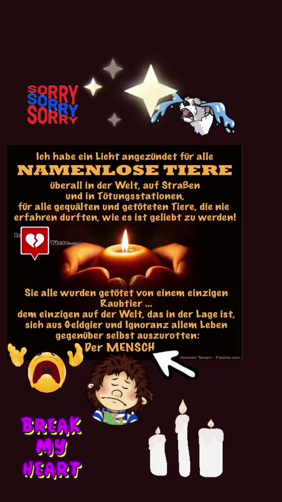 @❤️Ulla & Tiere❤️