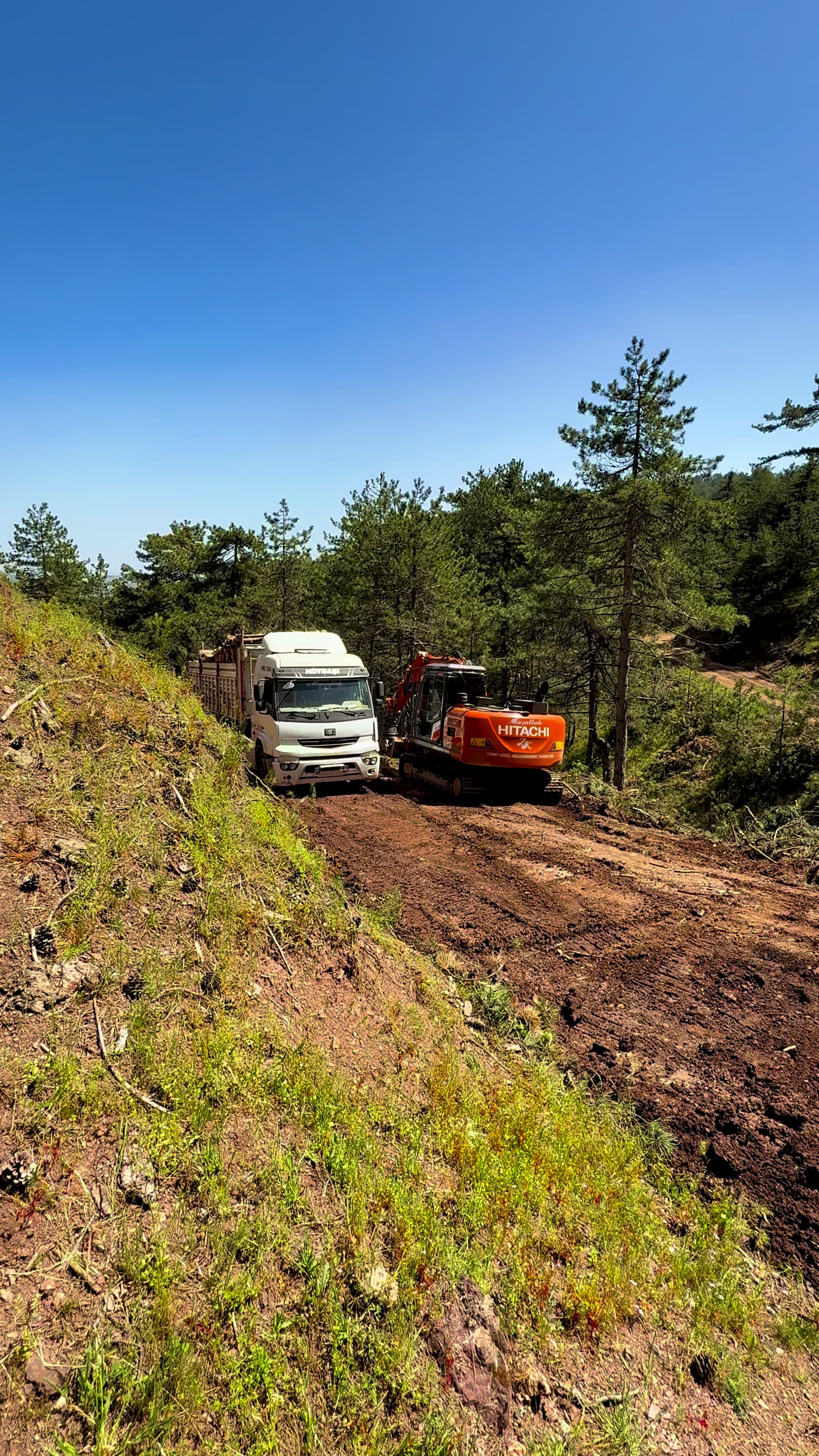 @Akyüz basri