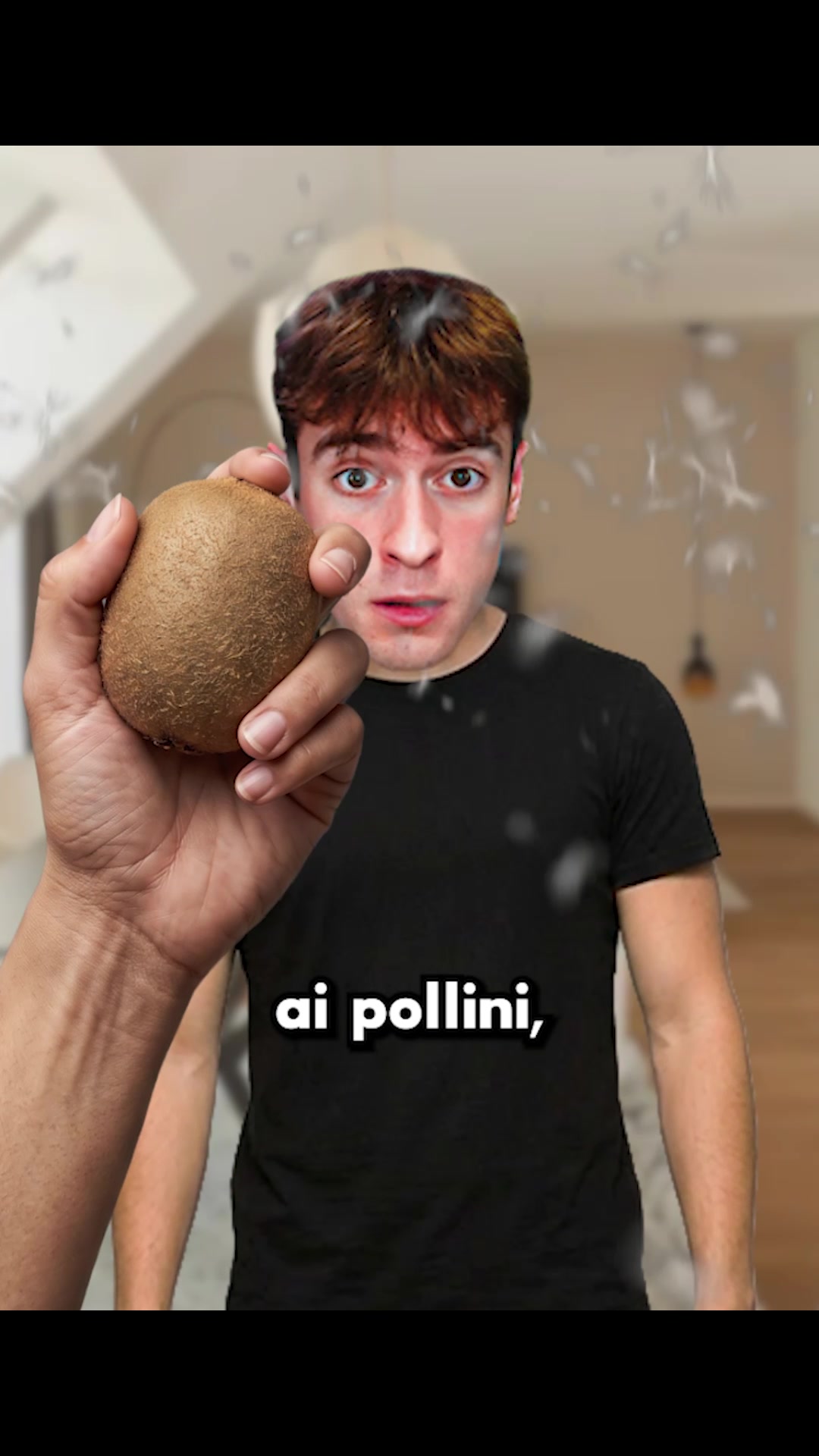 @lollo